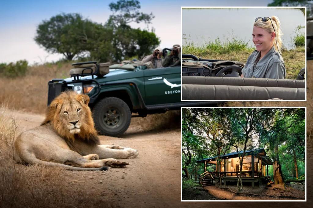 This special South African safari is for the cat ladies (and boys)